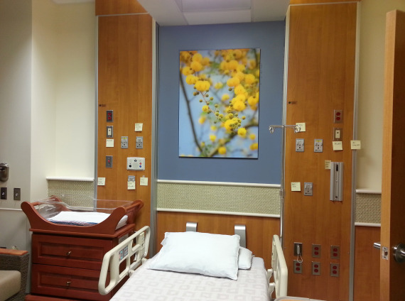 Patient Treatment Room Options